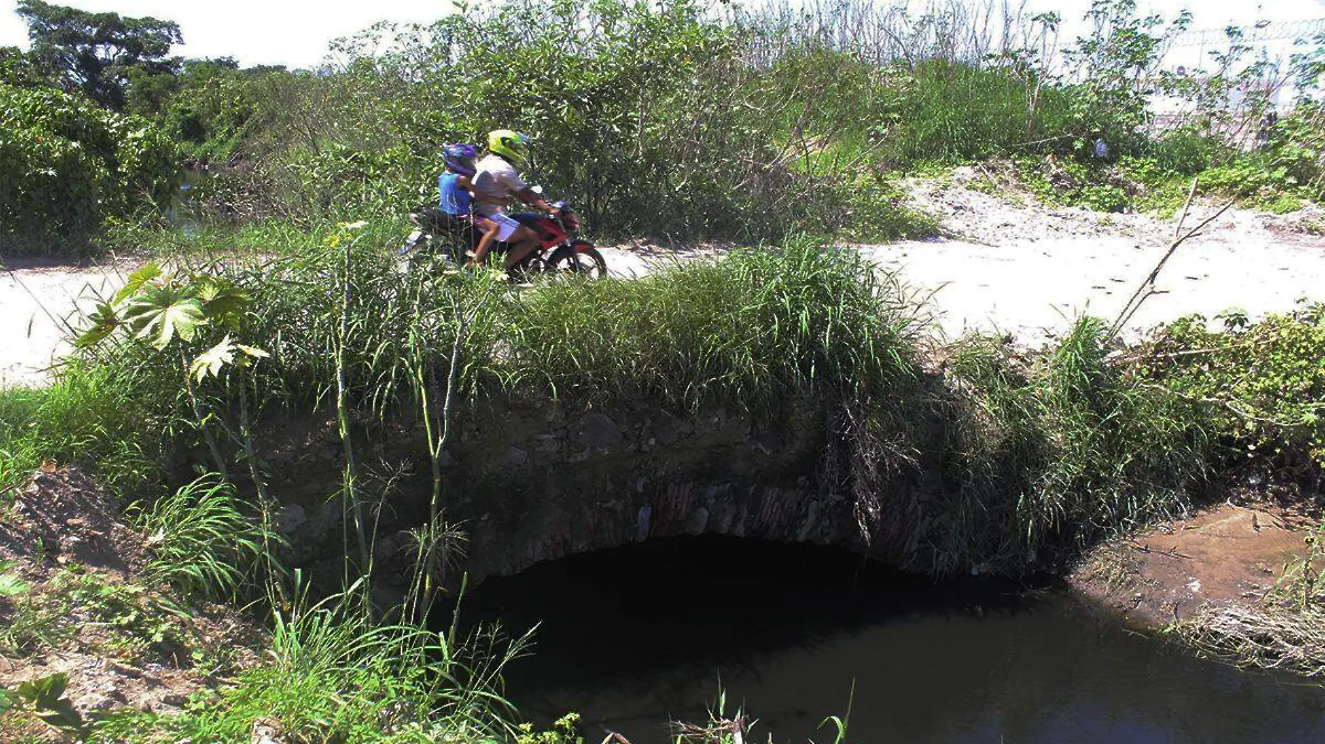 Puente Camino Real